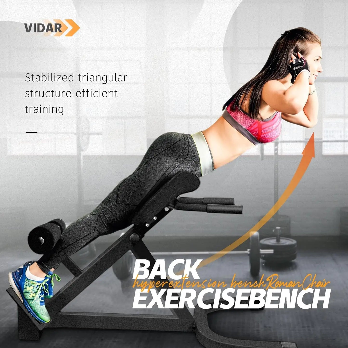 Back Extension Machine - Lower Back Hyperextension Bench - Adjustable