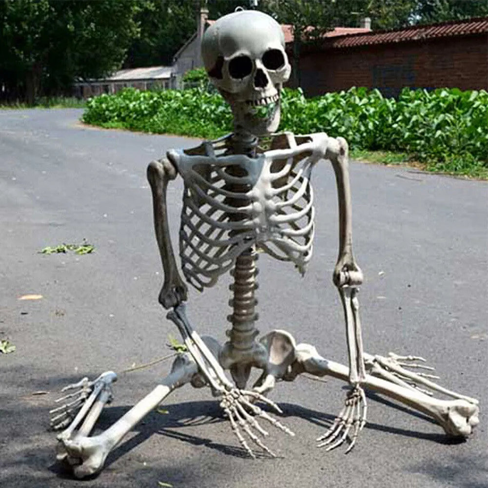 Full Life Size Poseable Halloween Skeleton Decoration