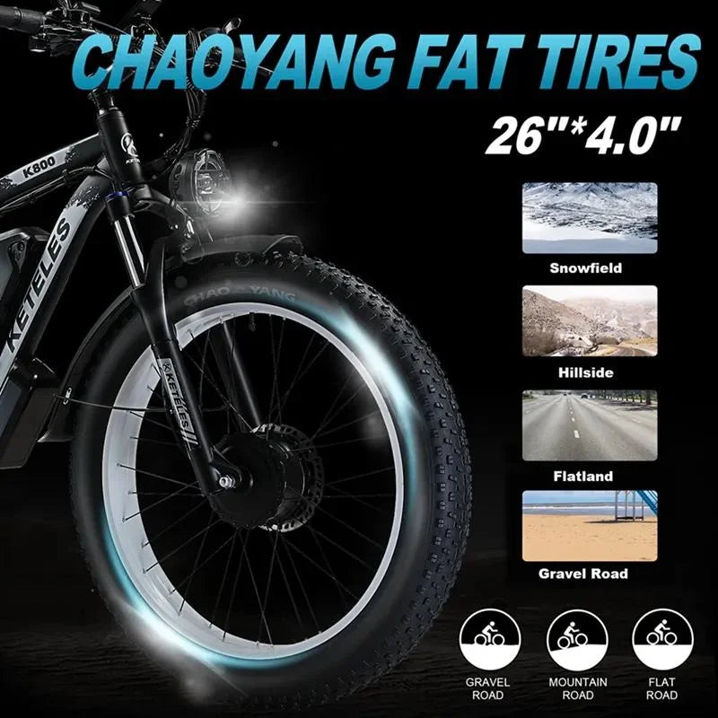 Dual Motor, Two Wheel Drive Battery, Off-Road Fat Tire, E-Bike