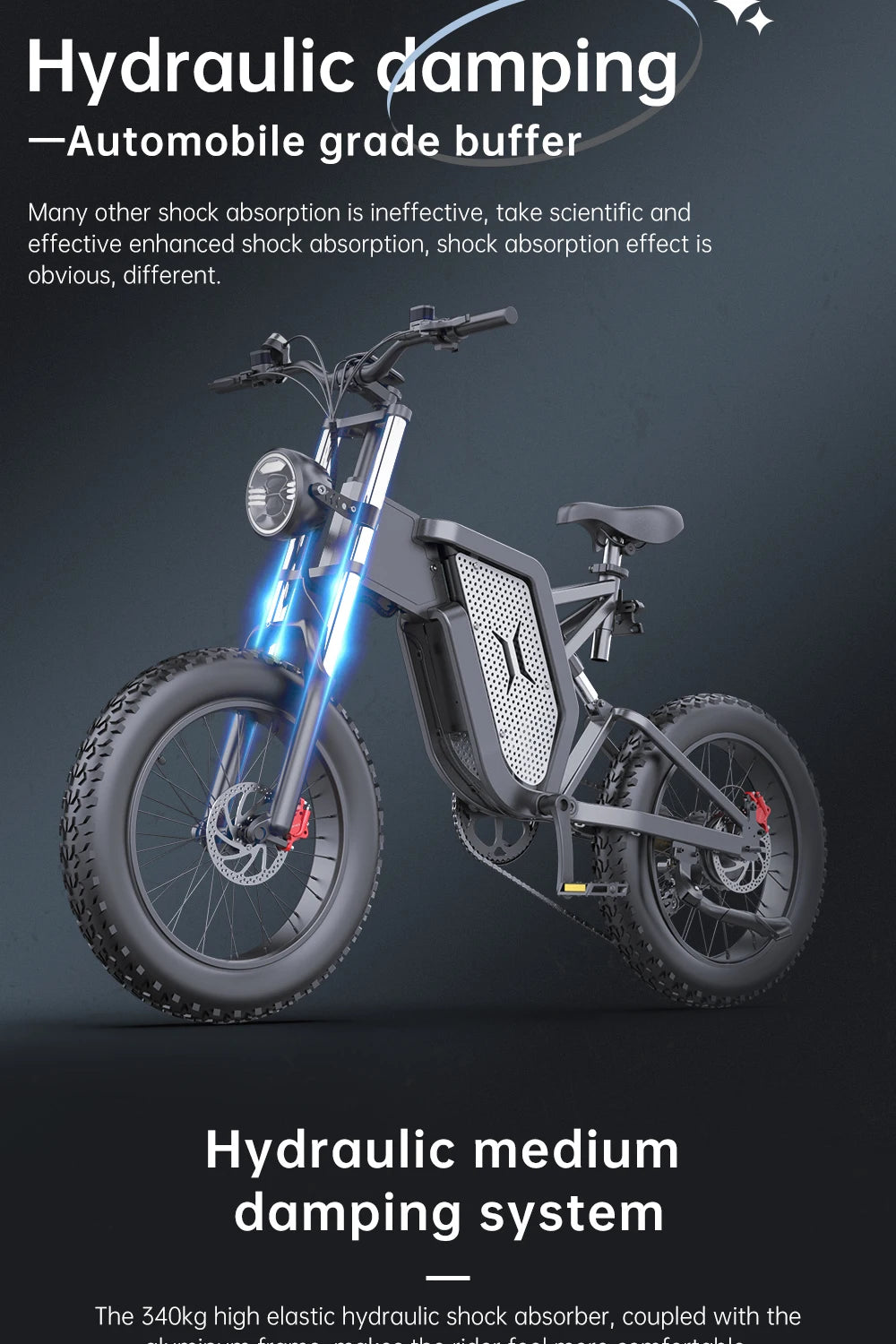 Hydraulic brake 48V Adult Electric bike 20 inch Fat Tires