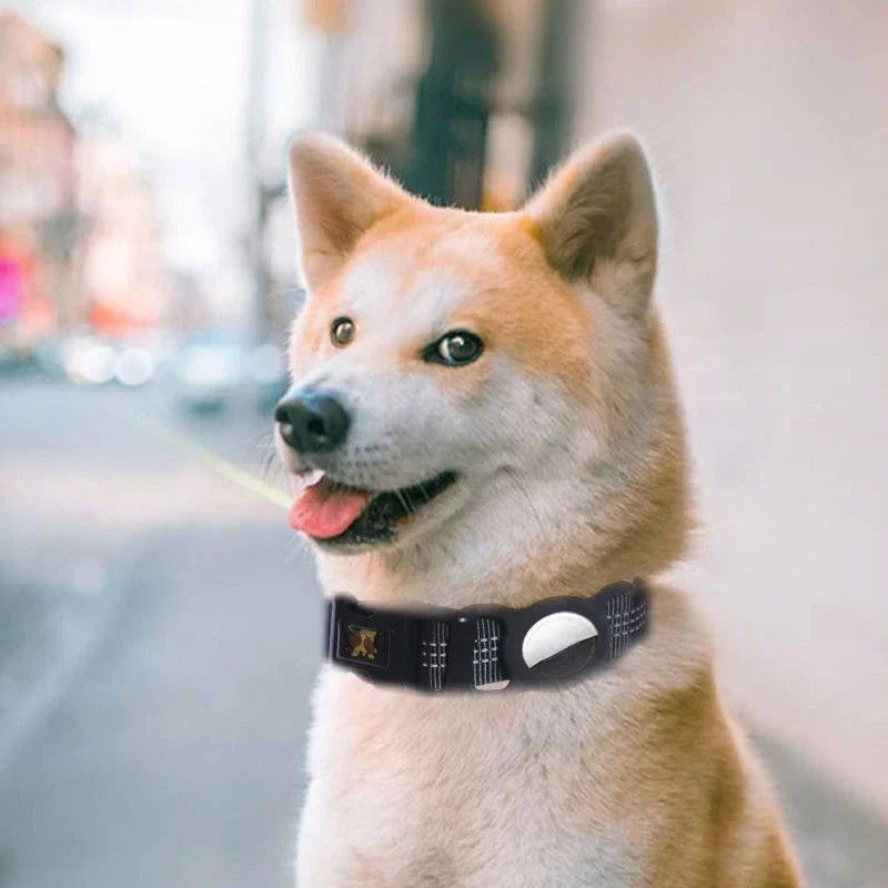 Fashion Dog Collar With Apple Airtag Case Nylon