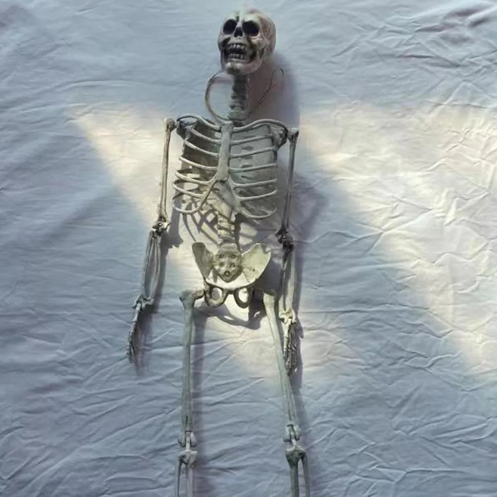 Full Life Size Poseable Halloween Skeleton Decoration