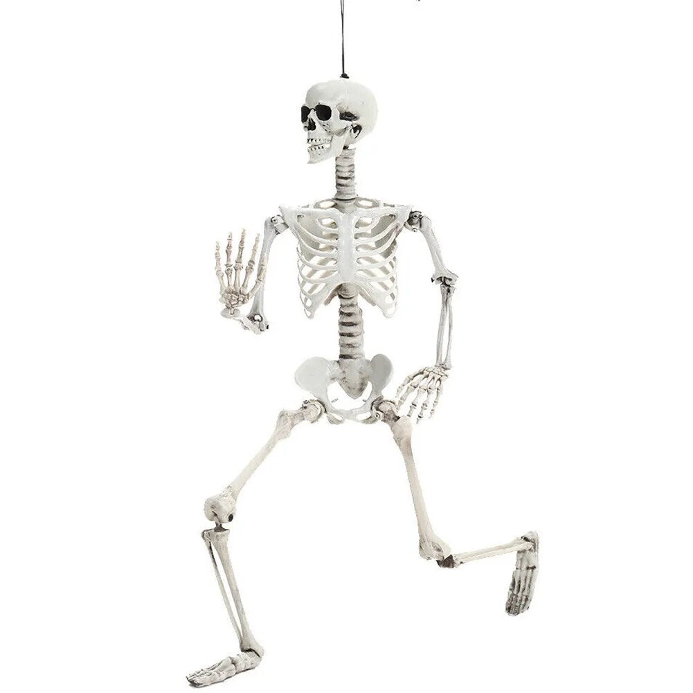 Full Life Size Poseable Halloween Skeleton Decoration