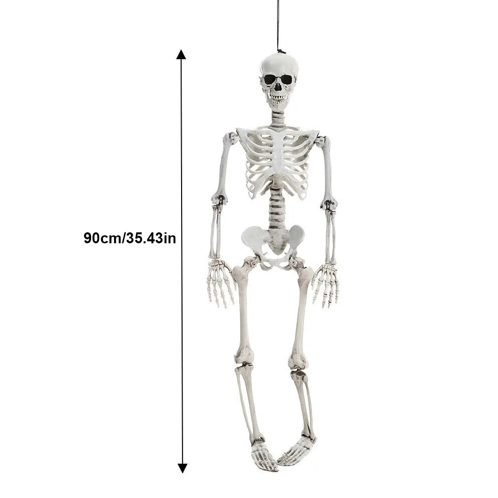 Full Life Size Poseable Halloween Skeleton Decoration