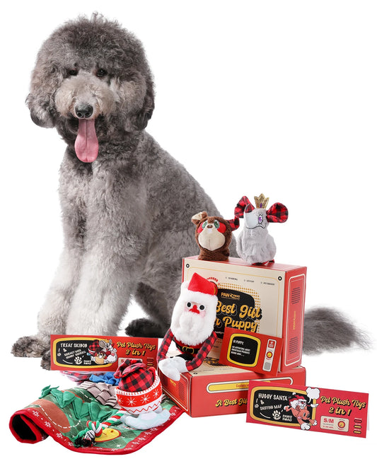 5 Piece Christmas Dog Toy Gift Set - Squeaky Toys Unstuffed Chew Toys