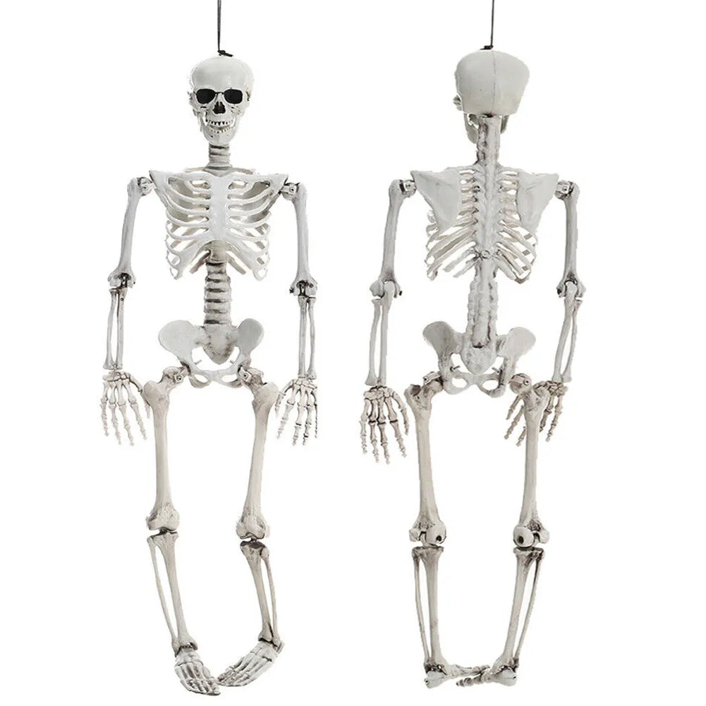 Full Life Size Poseable Halloween Skeleton Decoration