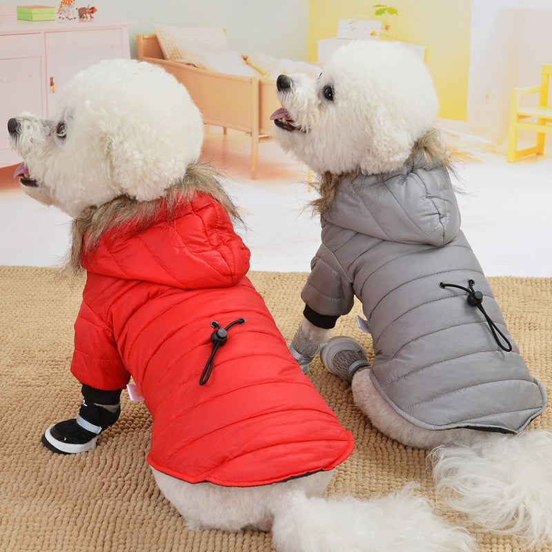 Soft Fur Hood Puppy Jacket Clothing For Dogs - peterkaczconnect