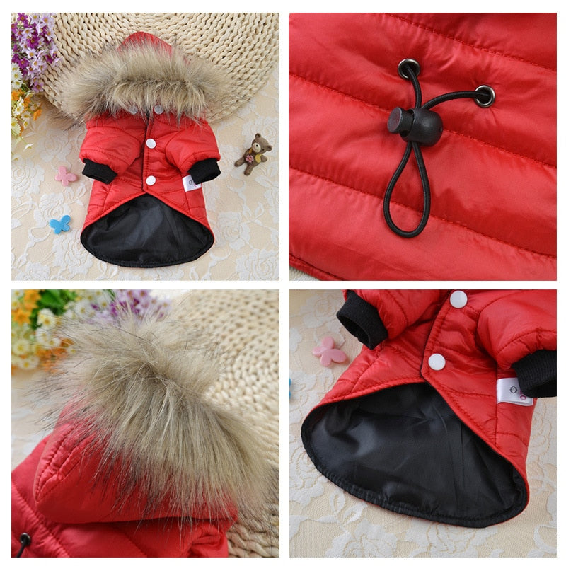 Soft Fur Hood Puppy Jacket Clothing For Dogs - peterkaczconnect