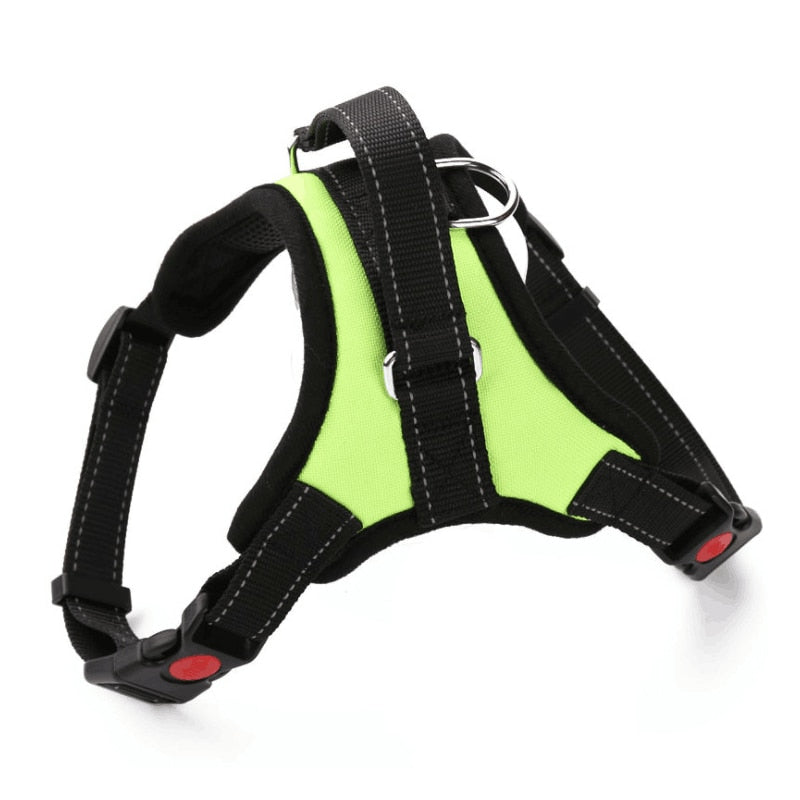 Large Dog Harness Reflective Small Glowing Collar - peterkaczconnect