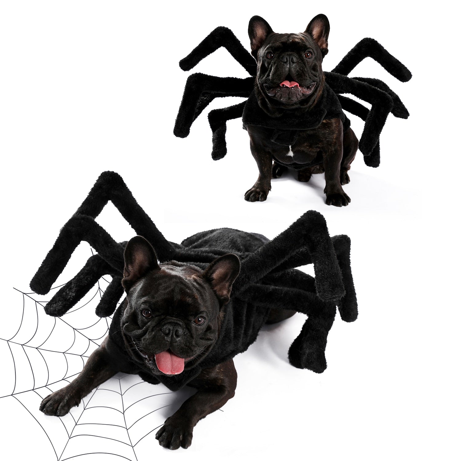 Dog Spider Costume  Halloween scary funny - peterkaczconnect