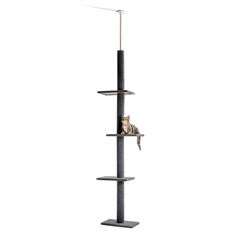 Floor to Ceiling Adjustable Cat Scratcher Protecting Furniture - peterkaczconnect