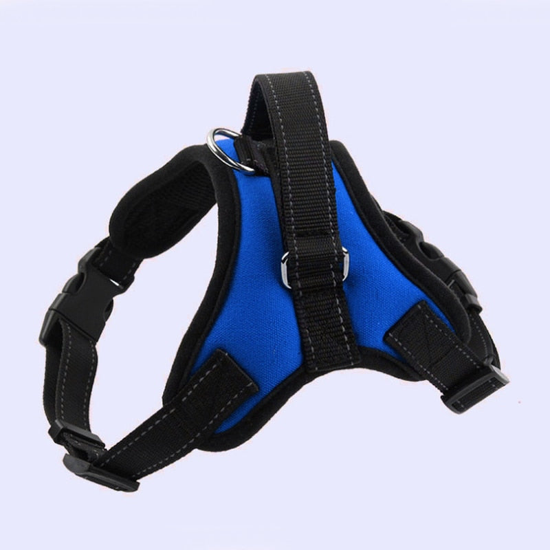 Large Dog Harness Reflective Small Glowing Collar - peterkaczconnect