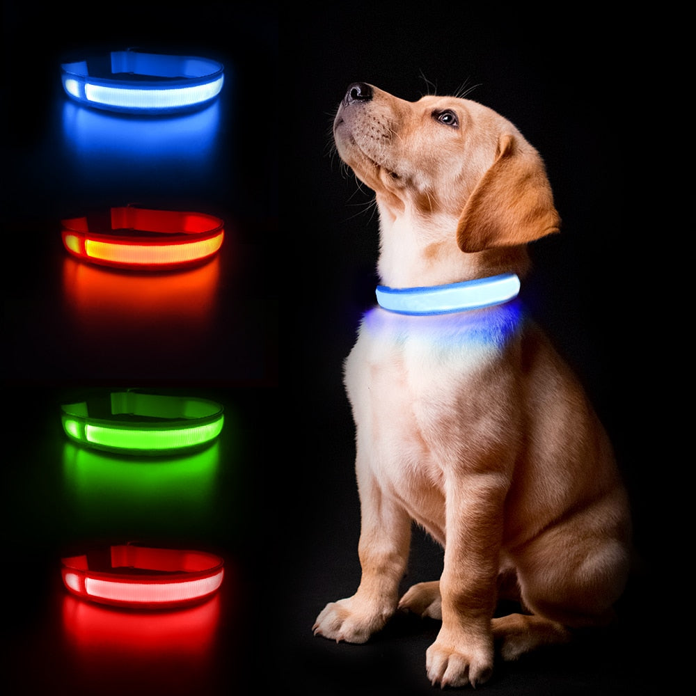 Dog Collar Luminous  Waterpoof Safety Collars - peterkaczconnect