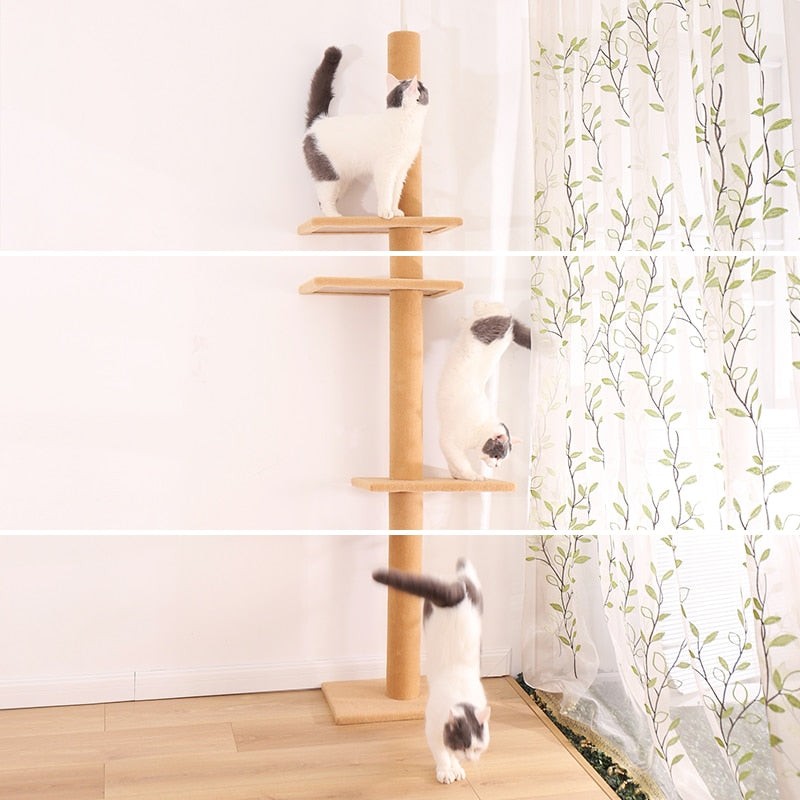 Floor to Ceiling Adjustable Cat Scratcher Protecting Furniture - peterkaczconnect