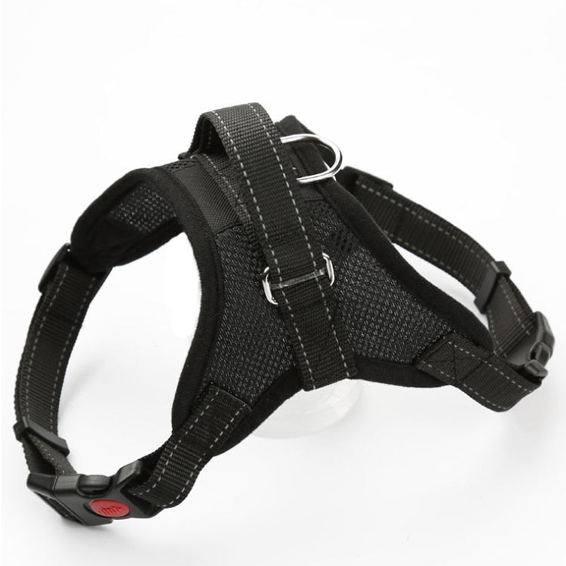 Large Dog Harness Reflective Small Glowing Collar - peterkaczconnect