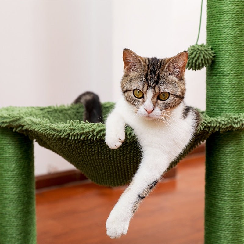 Cactus Cat Scratching Post Spacious Hammock Cats Climbing - peterkaczconnect