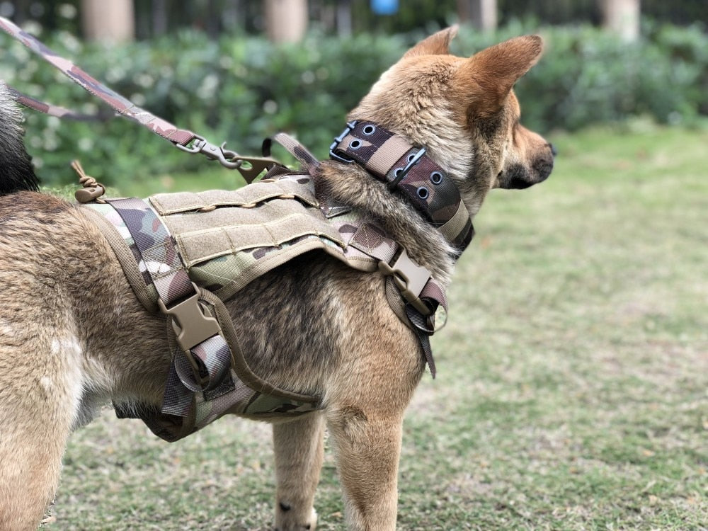 Tactical Dog Harness and Leash Set Military Vest - peterkaczconnect