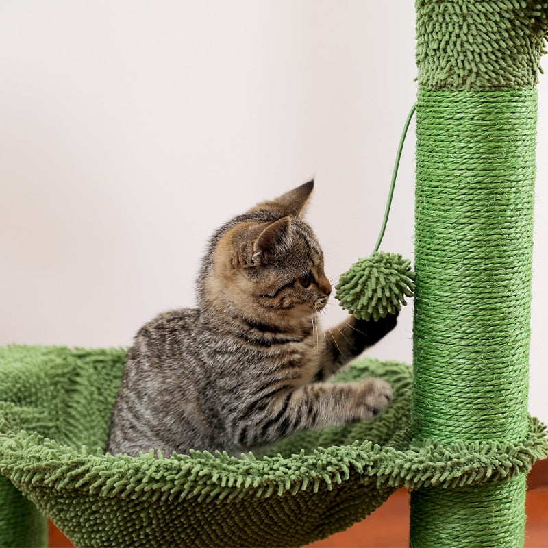 Cactus Cat Scratching Post Spacious Hammock Cats Climbing - peterkaczconnect