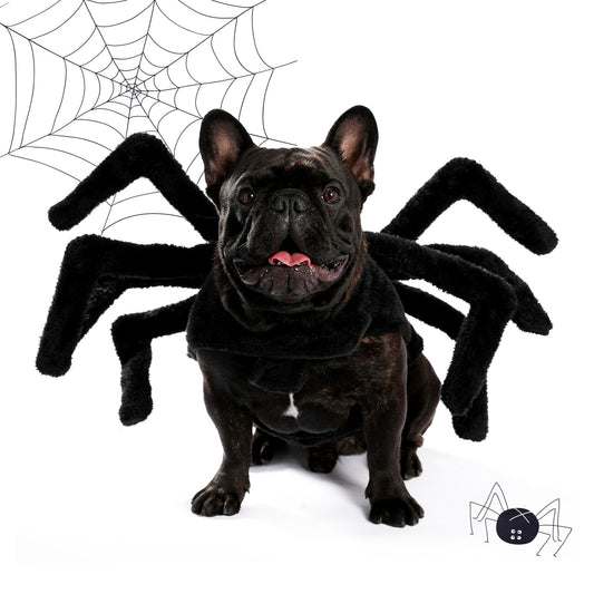 Dog Spider Costume  Halloween scary funny - peterkaczconnect