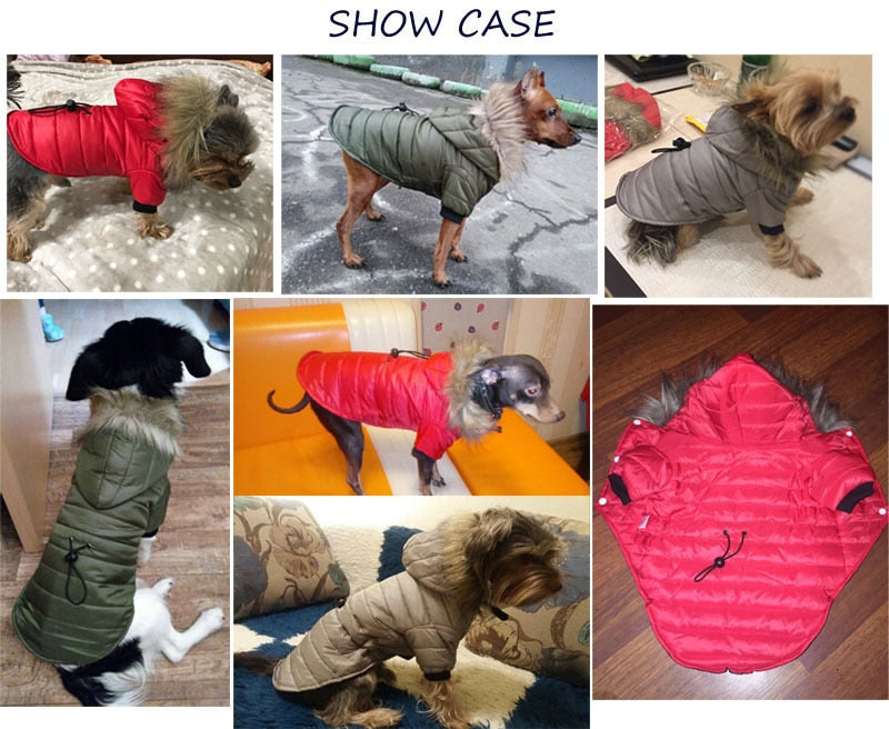 Soft Fur Hood Puppy Jacket Clothing For Dogs - peterkaczconnect