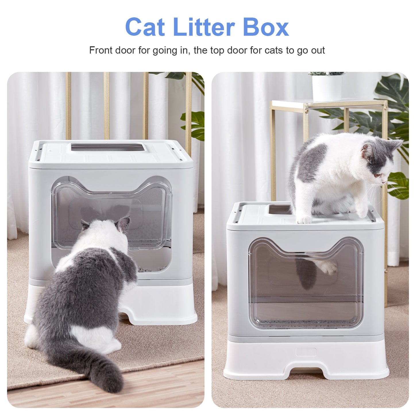 Front Entry Top Exit Litter Box Plastic Scoop - peterkaczconnect