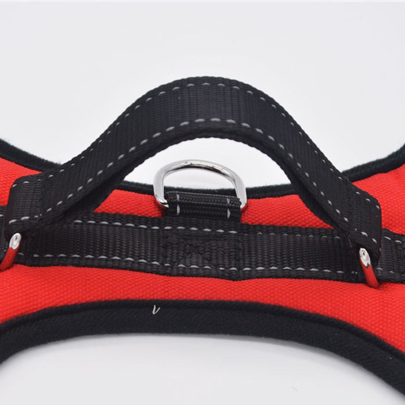 Large Dog Harness Reflective Small Glowing Collar - peterkaczconnect