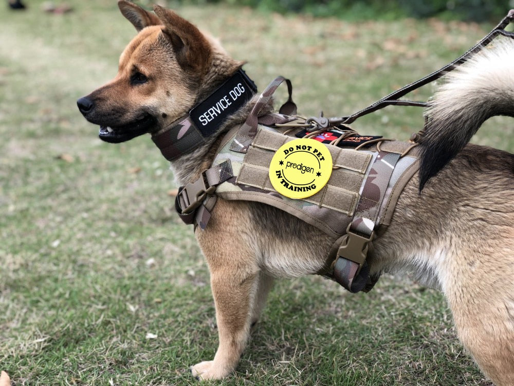 Tactical Dog Harness and Leash Set Military Vest - peterkaczconnect