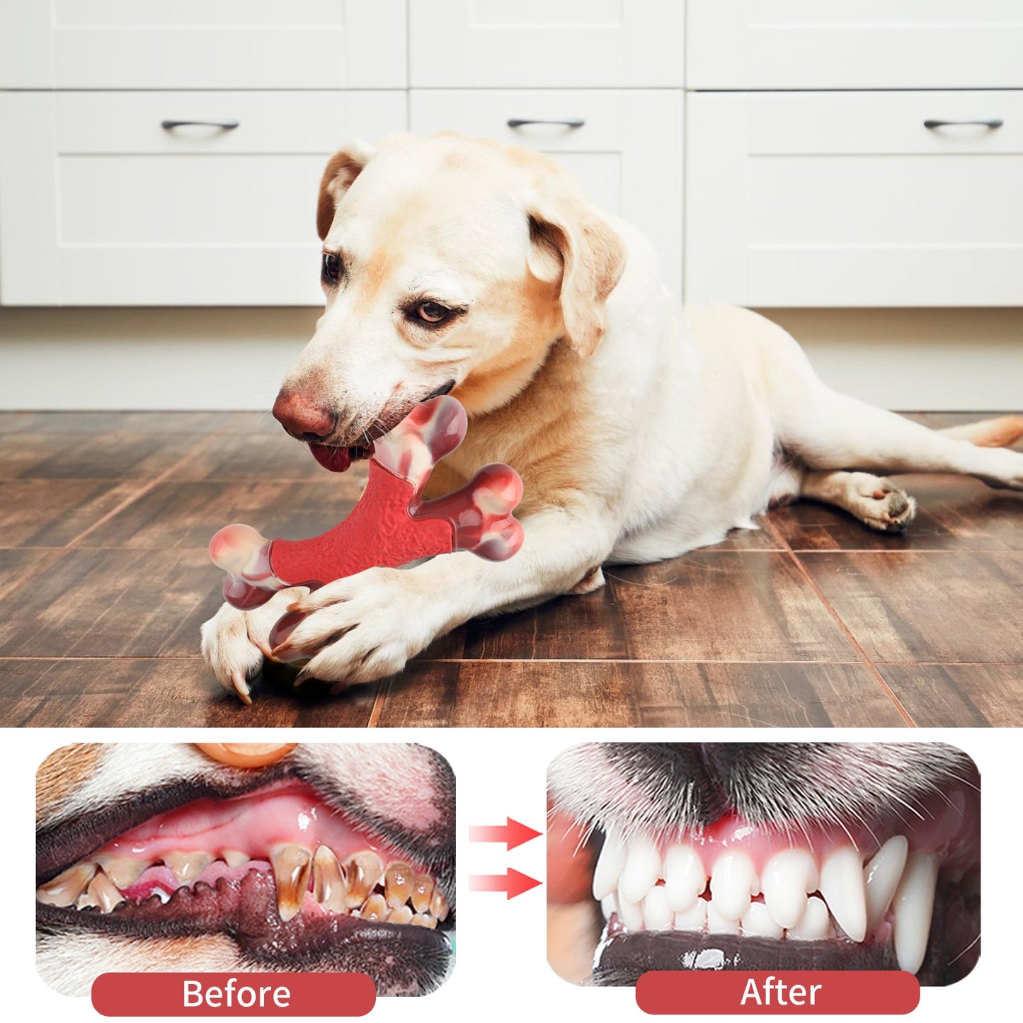 Dog Chew Toy Durable Dog Double Bone Gift - peterkaczconnect