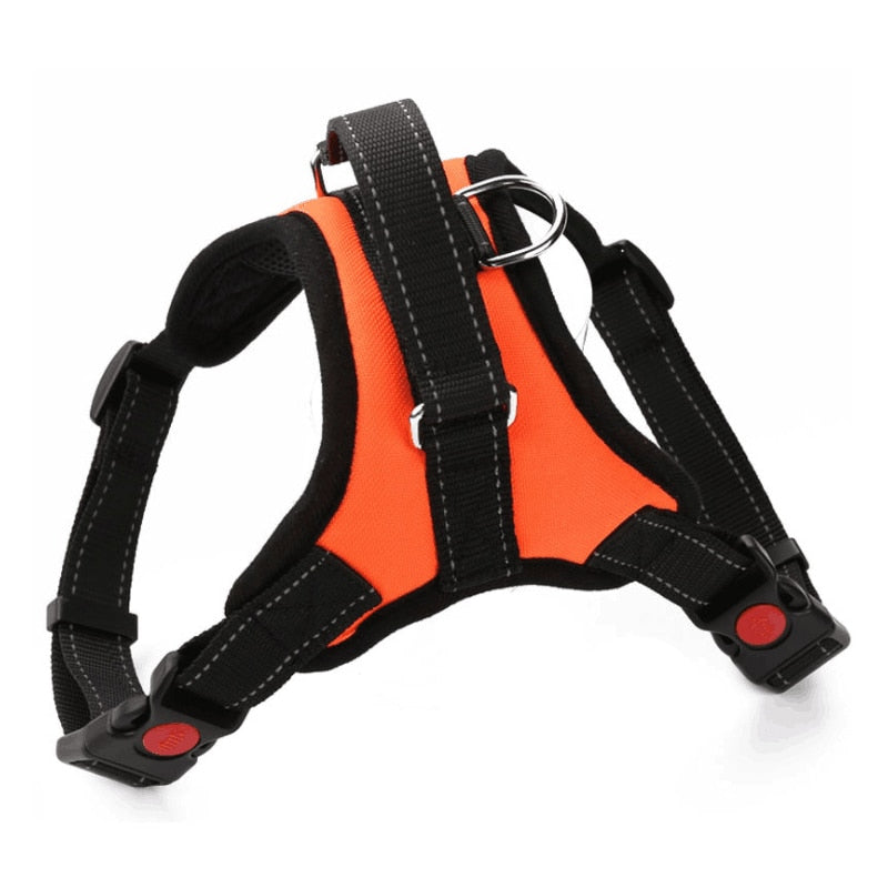 Large Dog Harness Reflective Small Glowing Collar - peterkaczconnect