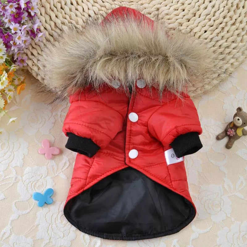 Soft Fur Hood Puppy Jacket Clothing For Dogs - peterkaczconnect