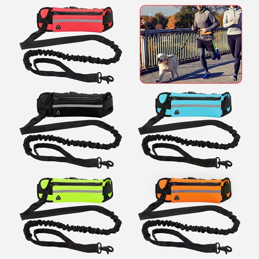 Hands Free Dog Leash for Running Walking Reflective - peterkaczconnect