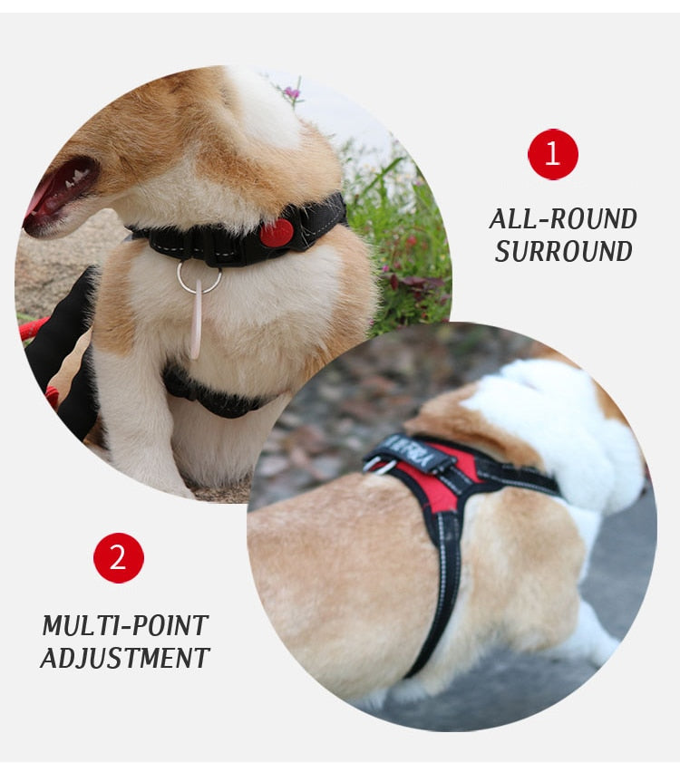 Large Dog Harness Reflective Small Glowing Collar - peterkaczconnect