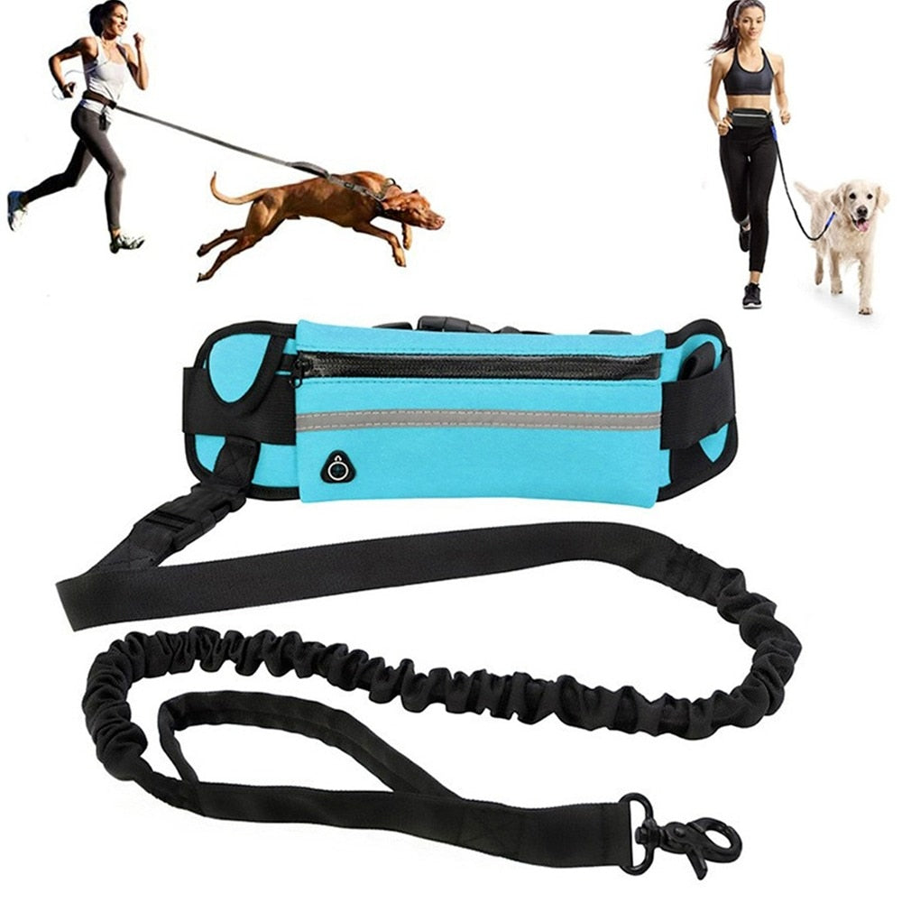 Hands Free Dog Leash for Running Walking Reflective - peterkaczconnect