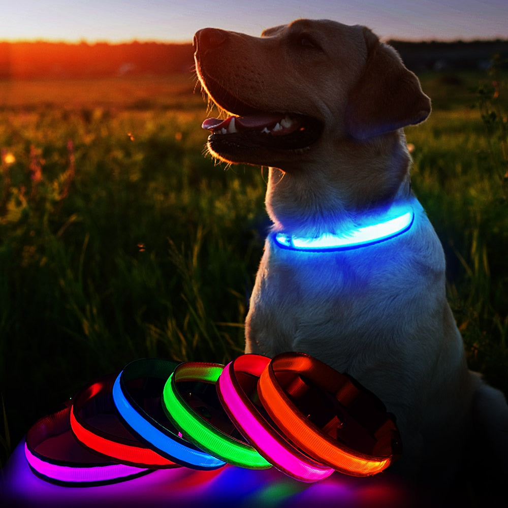 Dog Collar Luminous  Waterpoof Safety Collars - peterkaczconnect