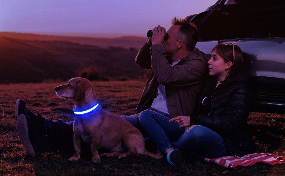 Dog Collar Luminous  Waterpoof Safety Collars - peterkaczconnect