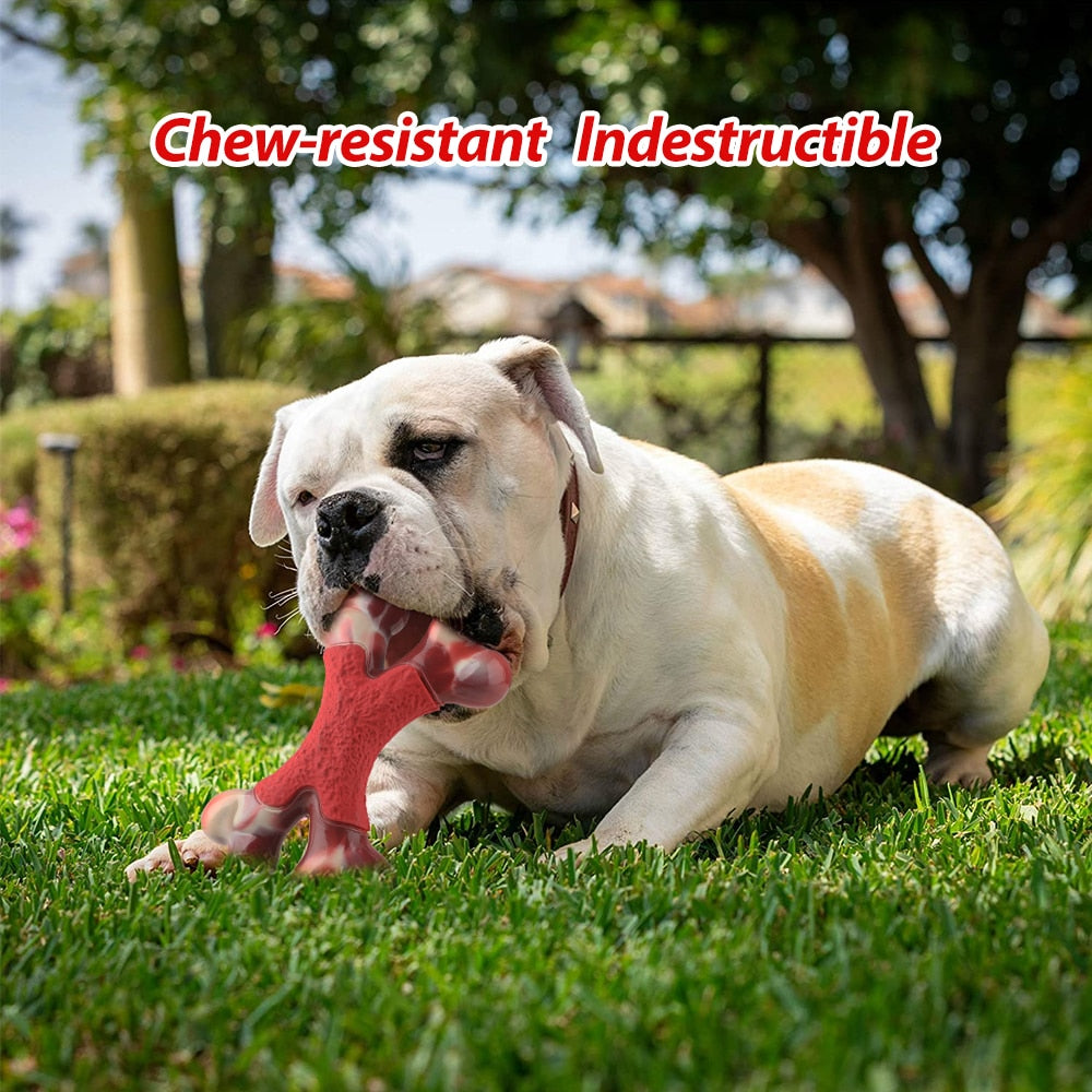 Dog Chew Toy Durable Dog Double Bone Gift - peterkaczconnect