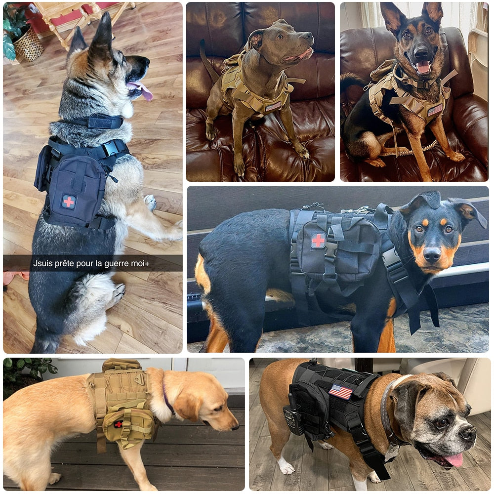 Tactical Dog Harness and Leash Set Military Vest - peterkaczconnect