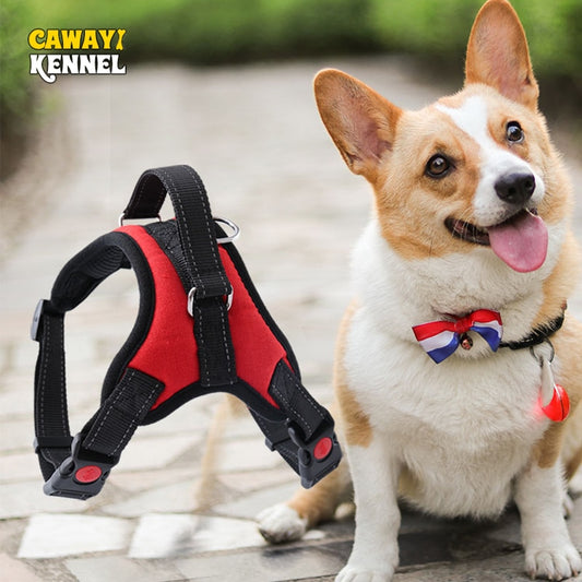 Large Dog Harness Reflective Small Glowing Collar - peterkaczconnect