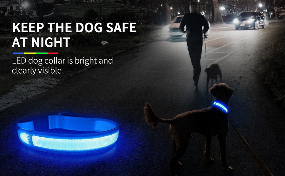 Dog Collar Luminous  Waterpoof Safety Collars - peterkaczconnect