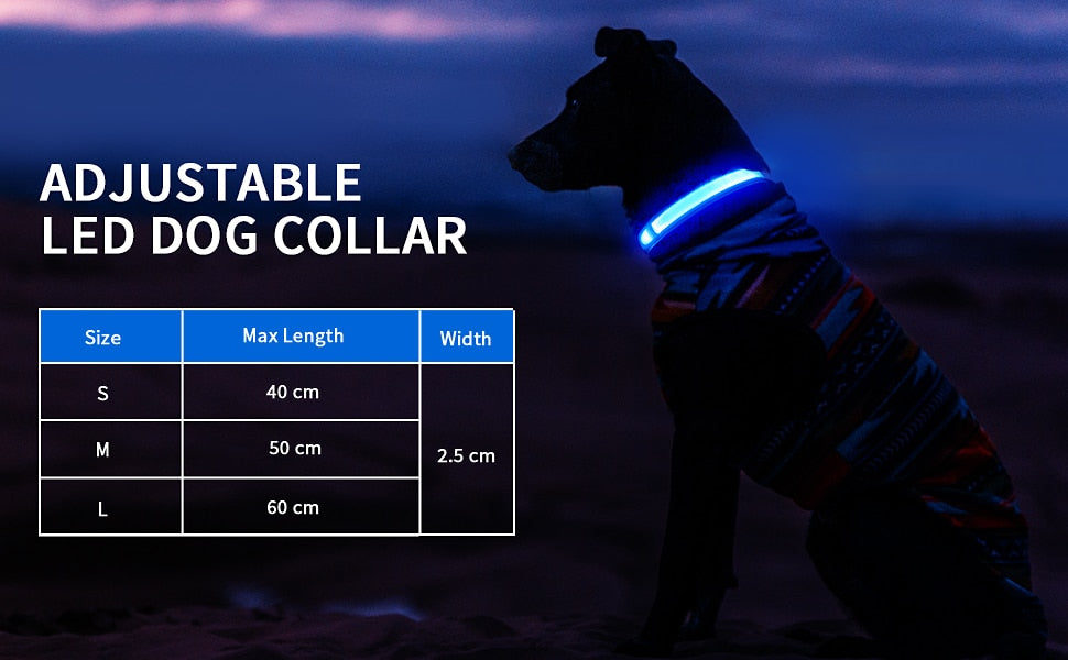 Dog Collar Luminous  Waterpoof Safety Collars - peterkaczconnect