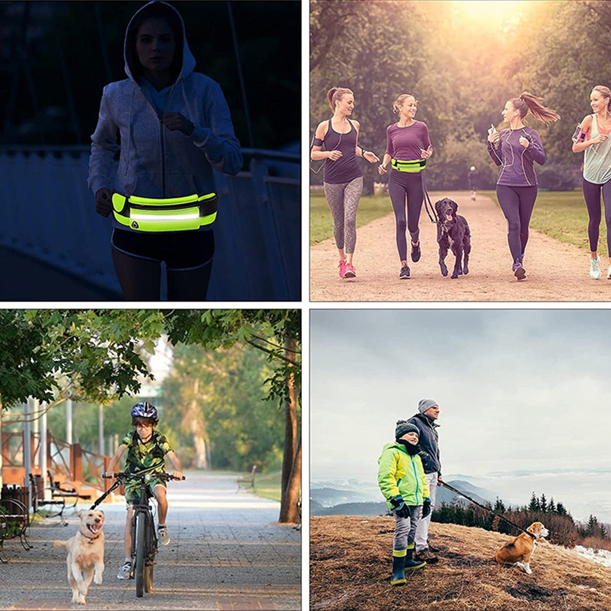 Hands Free Dog Leash for Running Walking Reflective - peterkaczconnect