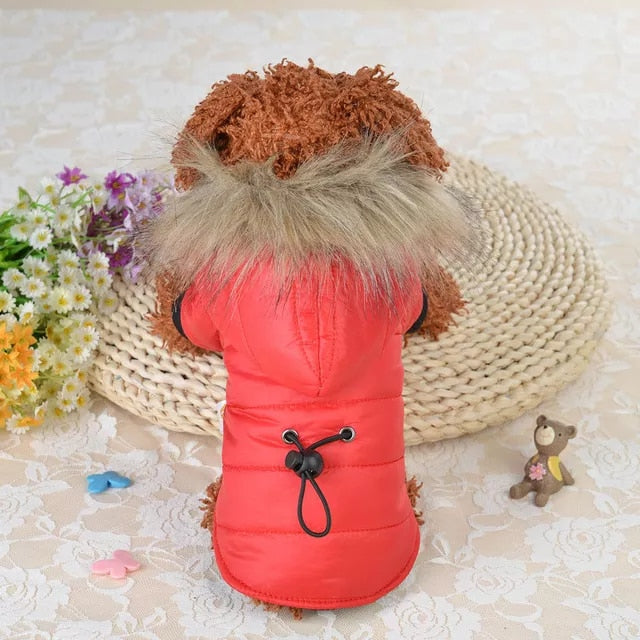 Soft Fur Hood Puppy Jacket Clothing For Dogs - peterkaczconnect