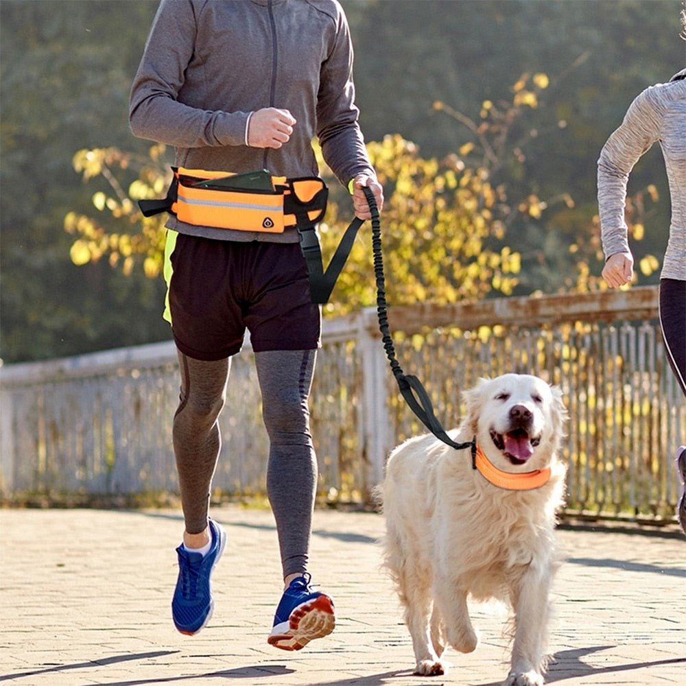 Hands Free Dog Leash for Running Walking Reflective - peterkaczconnect