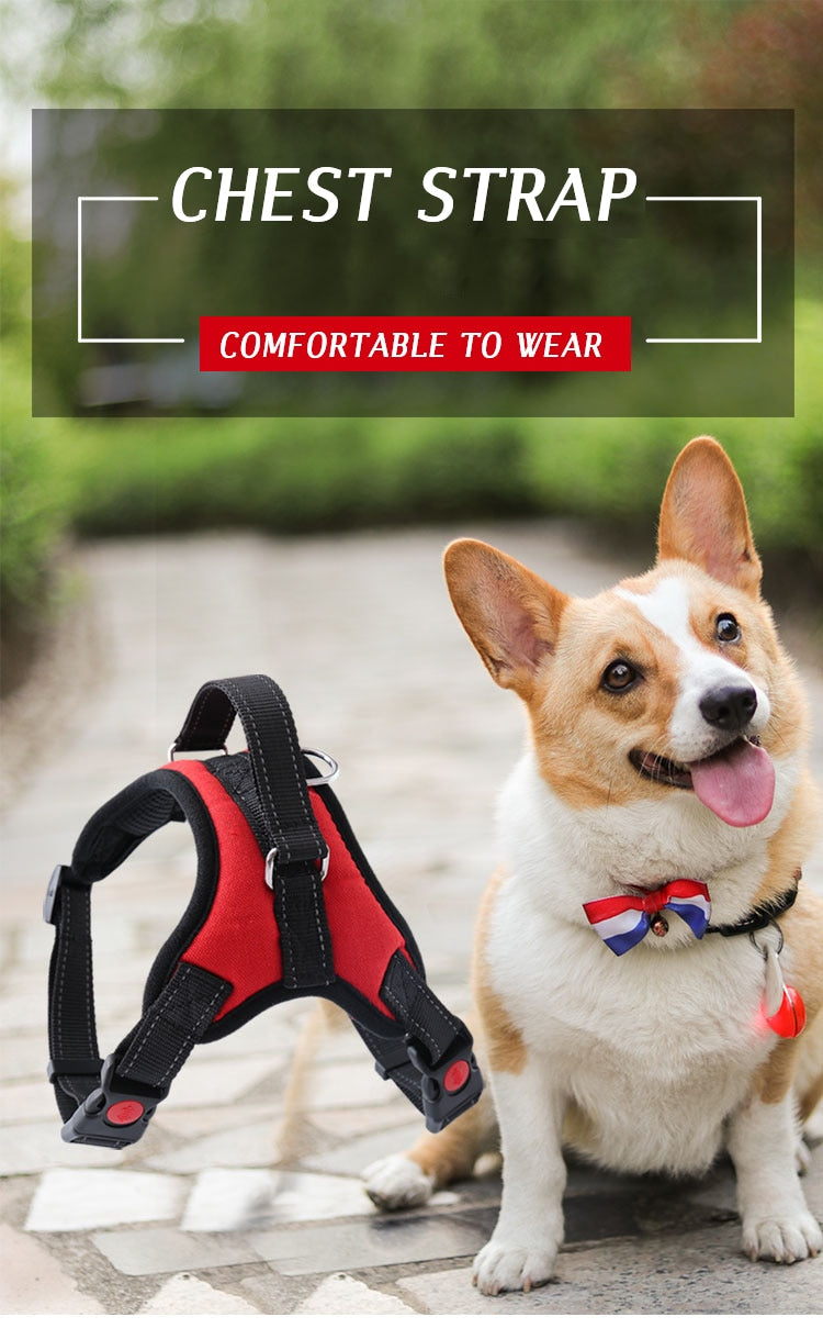 Large Dog Harness Reflective Small Glowing Collar - peterkaczconnect