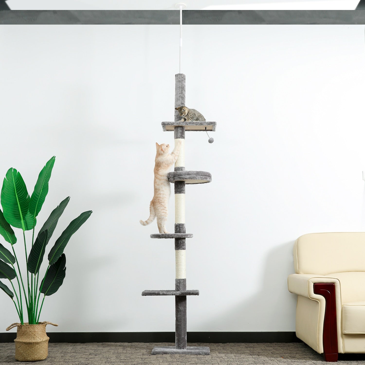 Floor to Ceiling Adjustable Cat Scratcher Protecting Furniture - peterkaczconnect