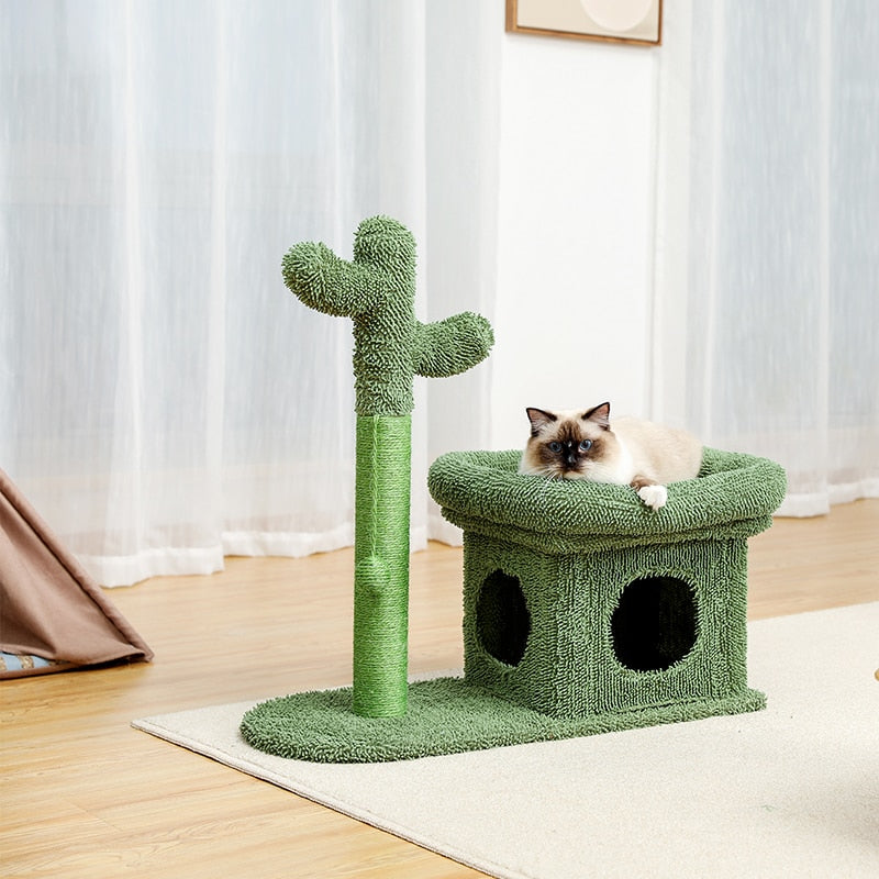 Cute Cactus Cat Tree Toy  Ball Scratching Post - peterkaczconnect